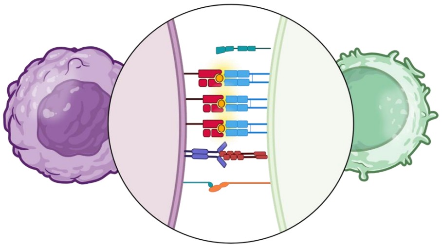 Avidity gives us an in-depth, full picture